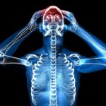 Семінар "Краніосакральна терапія 1- 2"